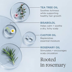 Scalp Revival™ Rosemary Pre-Wash Oil
