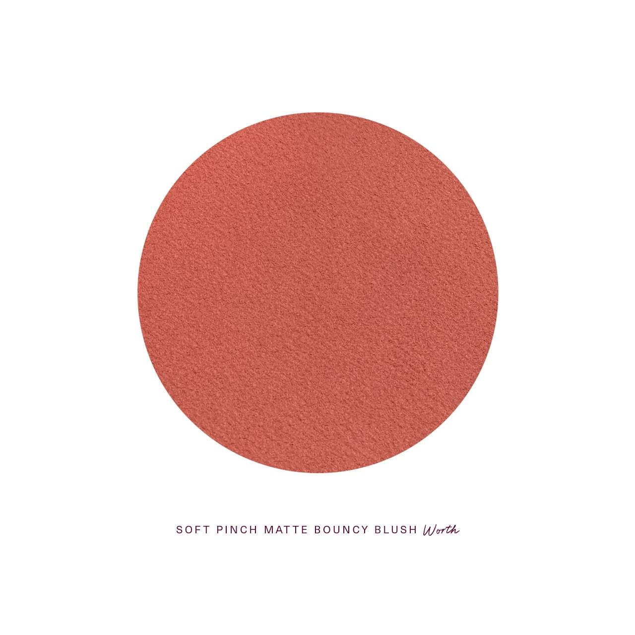Soft Pinch Matte Bouncy Blush - Worth