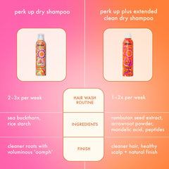 Perk Up Plus Extended Clean Dry Shampoo Travel Size