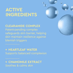 Blemish Soothing Facial Mist Toner