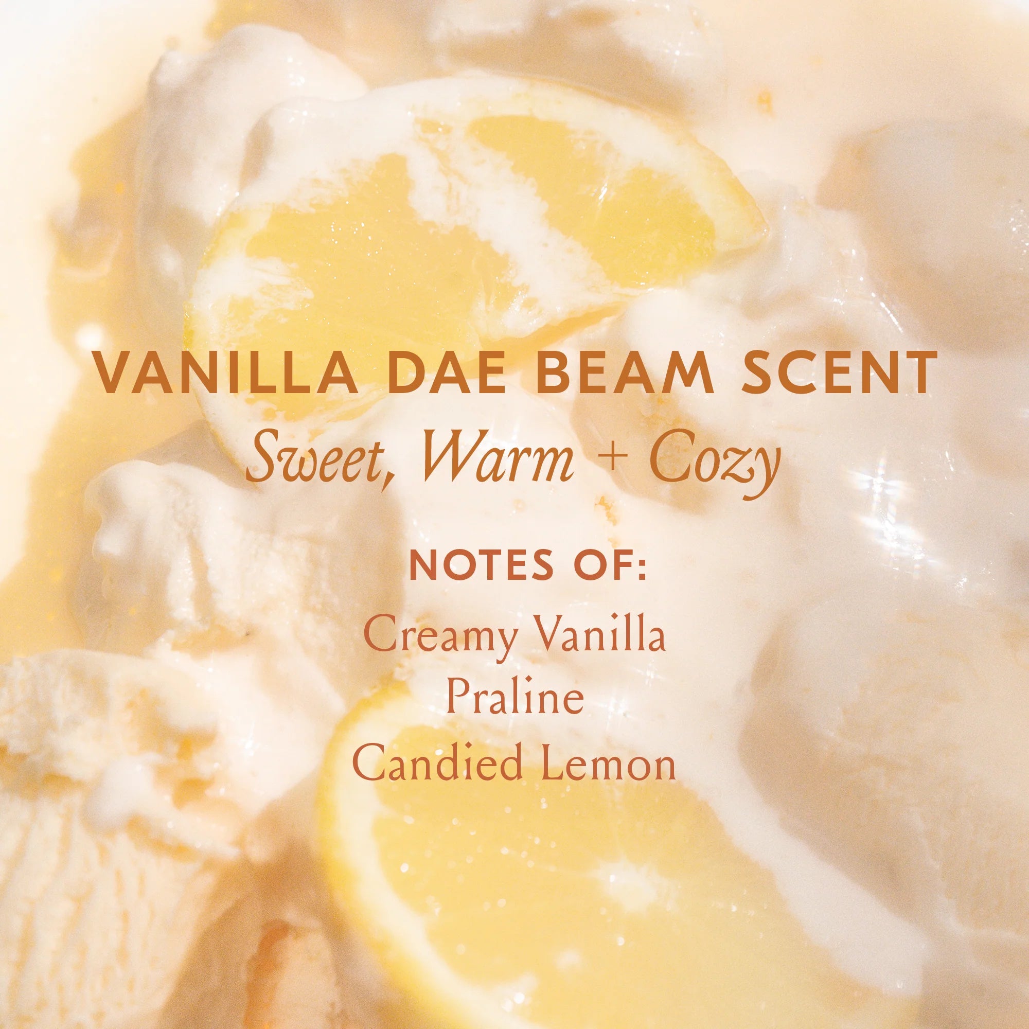 Cactus Fruit 3-in-1 Styling Cream + Taming Wand - Vanilla Dae Beam