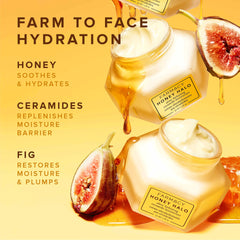 Honey Halo Ceramide Face Moisturizer