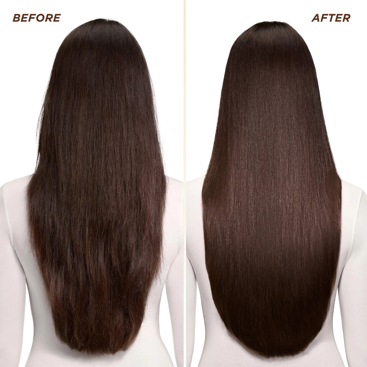 Honey Gloss Collagen Drops Hair Oil