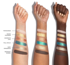 ChromaPlus 6-Pan Eyeshadow Palette - Python Code