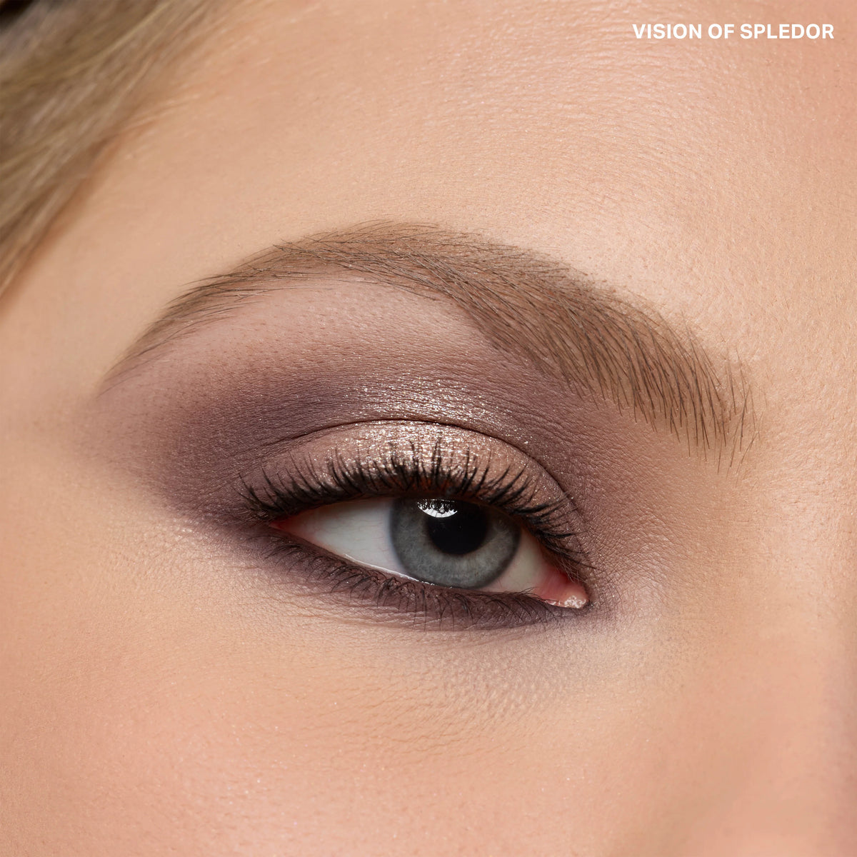 Holiday Collection ChromaPlus Eyeshadow Trio - Vision of Splendor