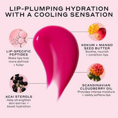 Pout Preserve Chillers Peptide Lip Treatment Maldives Melon
