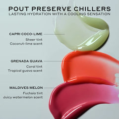 Pout Preserve Chillers Peptide Lip Treatment Maldives Melon