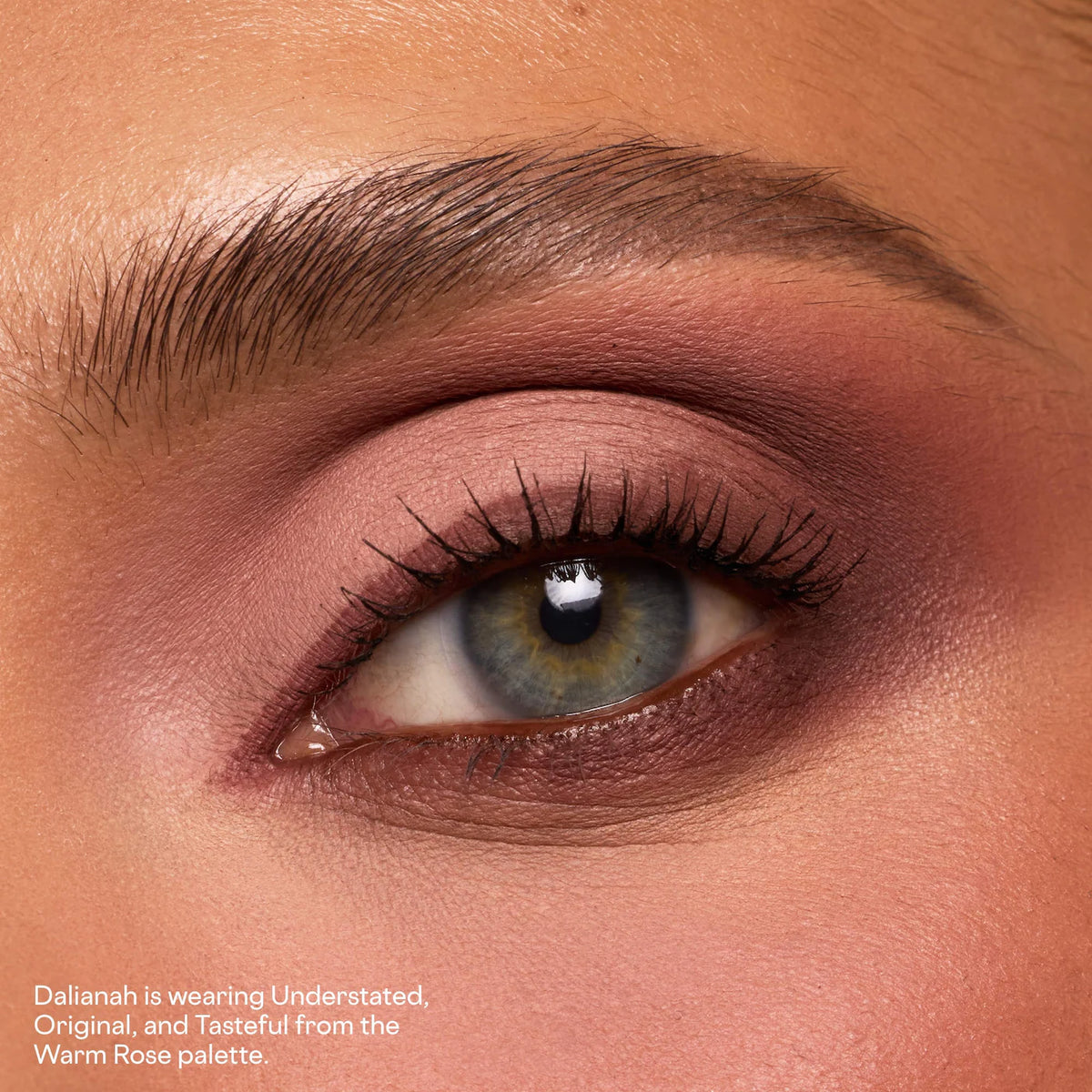 Major Dimension Essential Artistry Edit Eyeshadow Palette Warm Rose