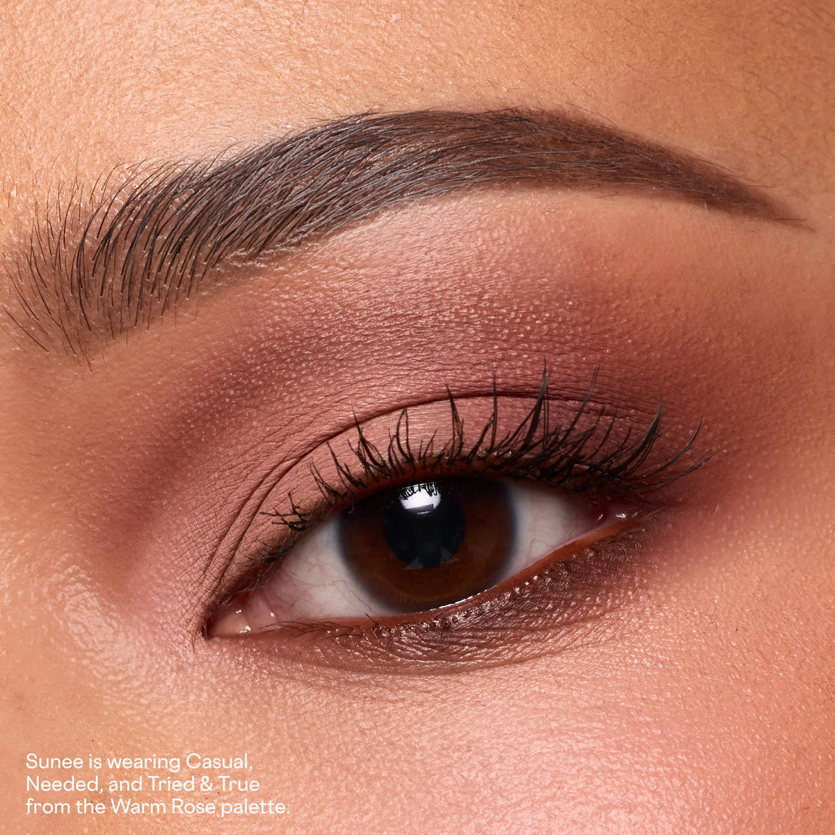 Major Dimension Essential Artistry Edit Eyeshadow Palette Warm Rose