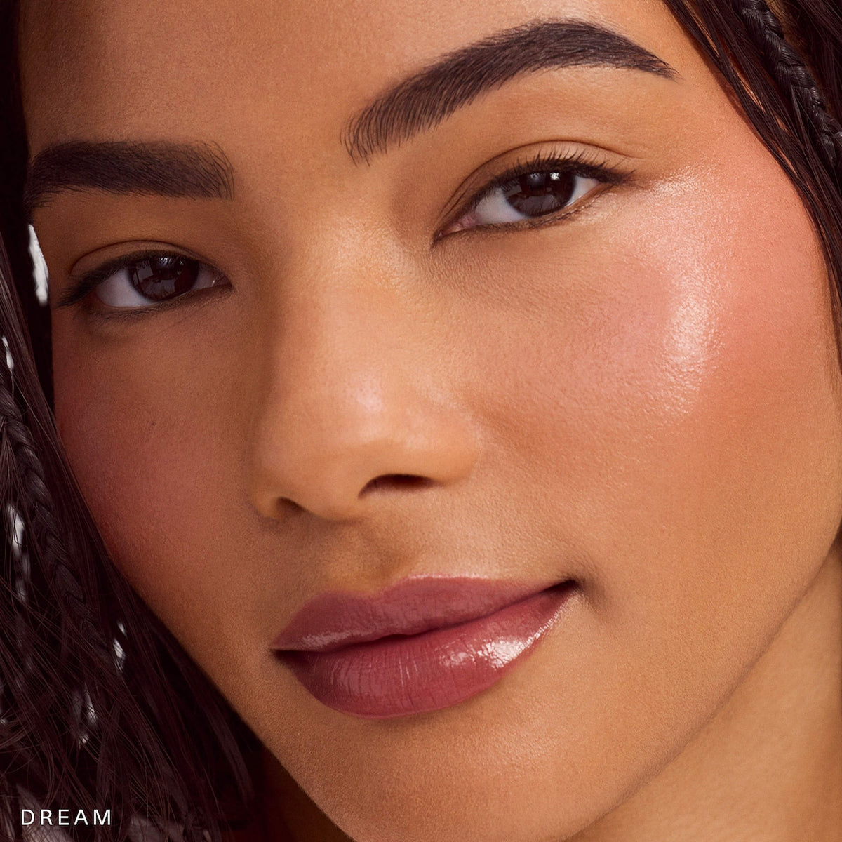 Soft Pinch Lip Oil Stick Dream