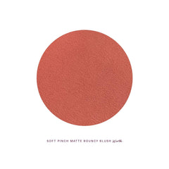 Soft Pinch Matte Bouncy Blush - Worth